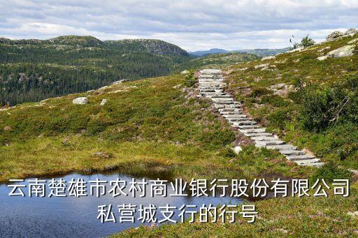 云南楚雄市農(nóng)村商業(yè)銀行股份有限公司私營(yíng)城支行的行號(hào)