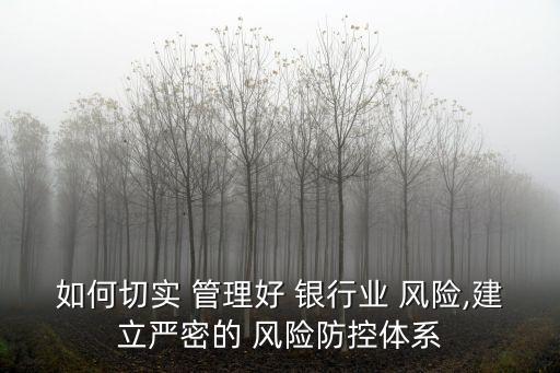 銀行全面風(fēng)險(xiǎn)管理,中國(guó)銀行全面風(fēng)險(xiǎn)管理