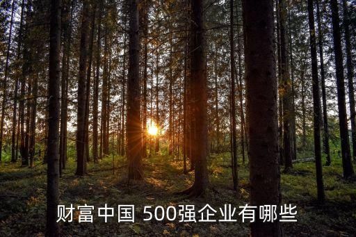 財(cái)富中國(guó) 500強(qiáng)企業(yè)有哪些
