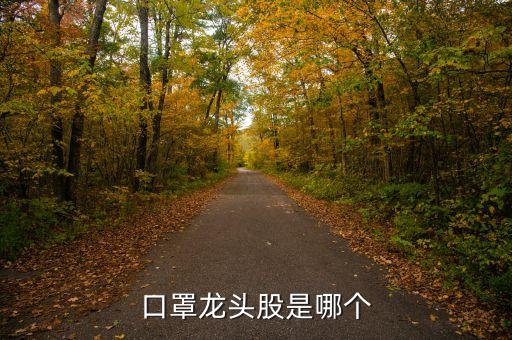 口罩龍頭股是哪個(gè)