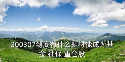 社保喜歡重倉的股票,社?；鹬貍}股票好不好