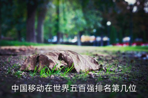中國(guó)移動(dòng)在世界五百?gòu)?qiáng)排名第幾位