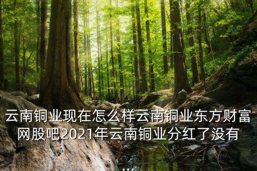 云南銅業(yè)現(xiàn)在怎么樣云南銅業(yè)東方財(cái)富網(wǎng)股吧2021年云南銅業(yè)分紅了沒(méi)有...