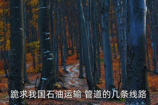 跪求我國(guó)石油運(yùn)輸 管道的幾條線(xiàn)路