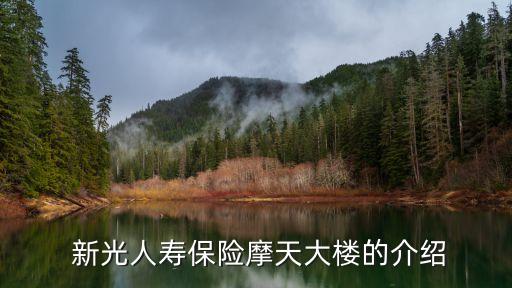 臺灣新光集團(tuán)