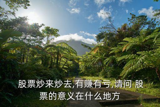  股票炒來炒去,有賺有虧,請問 股票的意義在什么地方