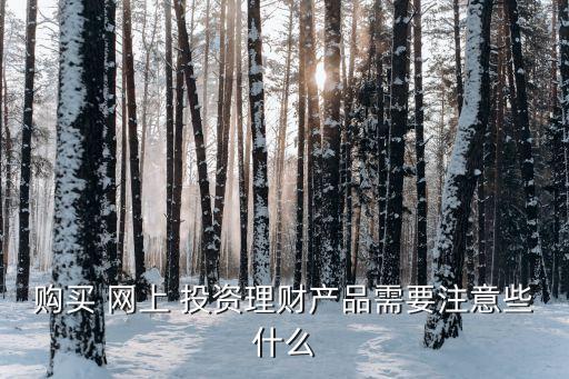 購(gòu)買(mǎi) 網(wǎng)上 投資理財(cái)產(chǎn)品需要注意些什么