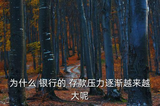 銀行網(wǎng)點(diǎn)存款波動大,根據(jù)存款波動程度銀行最為關(guān)注