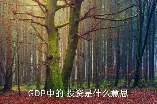 GDP中的 投資是什么意思