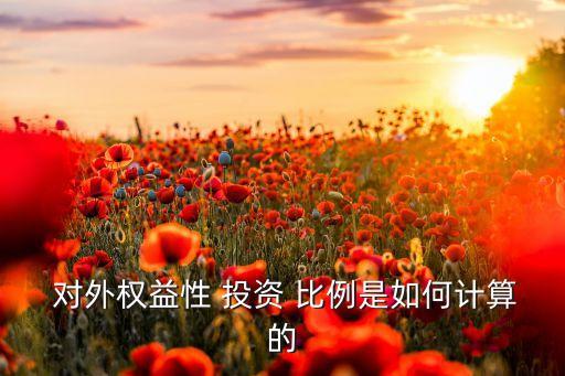  對外權(quán)益性 投資 比例是如何計(jì)算的