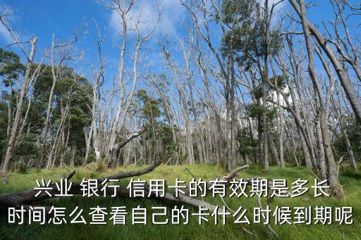  興業(yè) 銀行 信用卡的有效期是多長時間怎么查看自己的卡什么時候到期呢