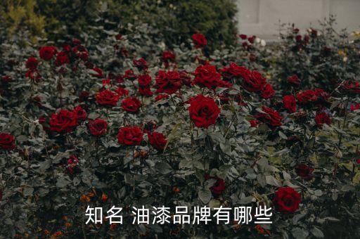 重慶三峽油漆股份有限公司網址,三峽油漆股份有限公司怎么樣