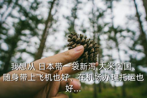 我想從 日本帶一袋新瀉 大米回國(guó)、隨身帶上飛機(jī)也好、在機(jī)場(chǎng)辦理托運(yùn)也好...