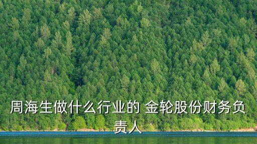 周海生做什么行業(yè)的 金輪股份財(cái)務(wù)負(fù)責(zé)人