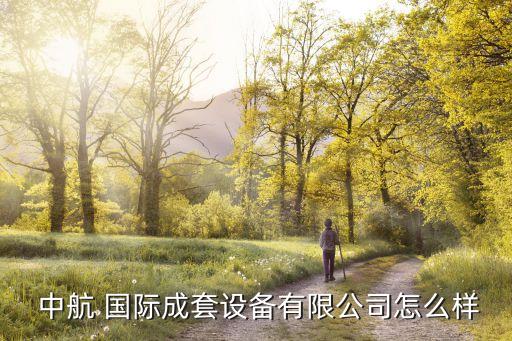  中航 國際成套設(shè)備有限公司怎么樣