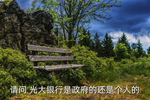 請問 光大銀行是政府的還是個(gè)人的