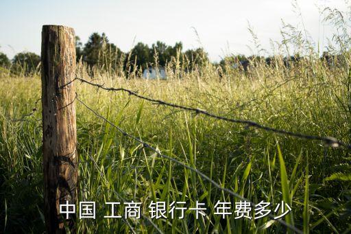 工商銀行有年費嗎,招商銀行可以網上辦卡嗎