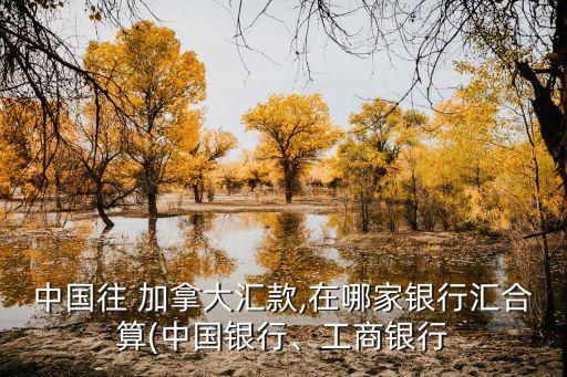 中國往 加拿大匯款,在哪家銀行匯合算(中國銀行、工商銀行