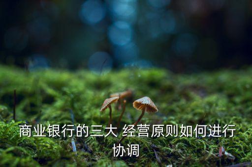 商業(yè)銀行經(jīng)營目標(biāo)的核心,內(nèi)部控制是商業(yè)銀行為實(shí)現(xiàn)經(jīng)營目標(biāo)