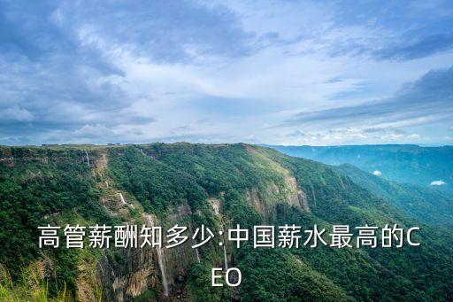  高管薪酬知多少:中國(guó)薪水最高的CEO
