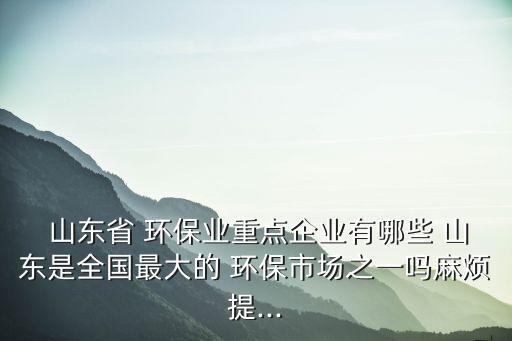 山東魯豐環(huán)保科技有限公司,山東綠之能環(huán)?？萍加邢薰?/></a></span><span id=