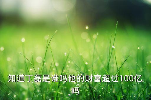 知道丁磊是誰(shuí)嗎他的財(cái)富超過(guò)100億嗎