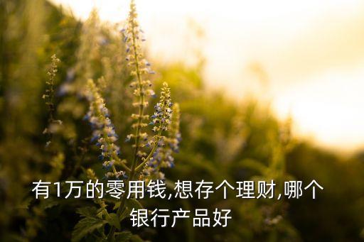 有1萬(wàn)的零用錢,想存?zhèn)€理財(cái),哪個(gè) 銀行產(chǎn)品好