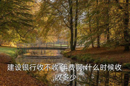 建設銀行收不收 年費啊,什么時候收,收多少