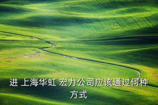 進 上海華虹 宏力公司應(yīng)該通過何種方式