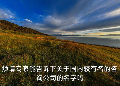 煩請專家能告訴下關于國內(nèi)較有名的咨詢公司的名字嗎