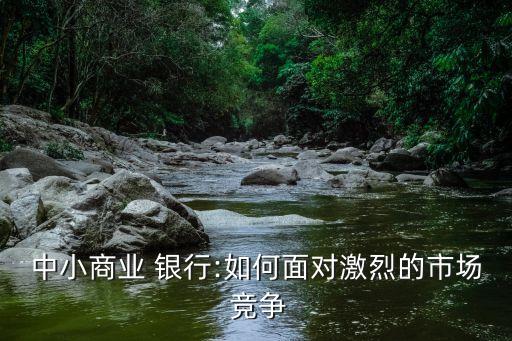 中小商業(yè) 銀行:如何面對(duì)激烈的市場 競爭