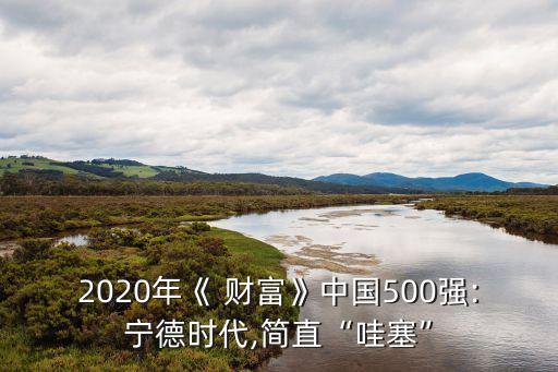 2020年《 財(cái)富》中國(guó)500強(qiáng):寧德時(shí)代,簡(jiǎn)直“哇塞”