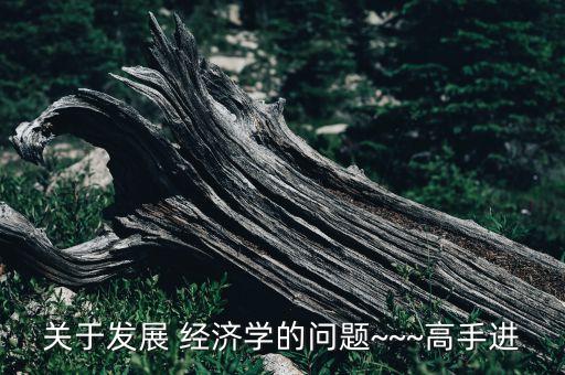 關(guān)于發(fā)展 經(jīng)濟學(xué)的問題~~~高手進(jìn)
