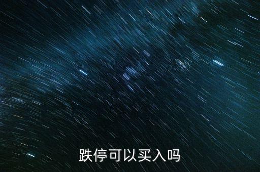 跌?？梢再I入嗎