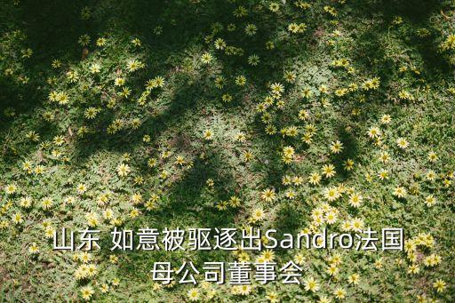 山東 如意被驅(qū)逐出Sandro法國母公司董事會