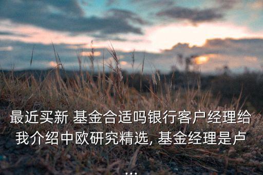 最近買新 基金合適嗎銀行客戶經理給我介紹中歐研究精選, 基金經理是盧...