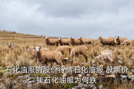 頁(yè)巖氣股票代碼