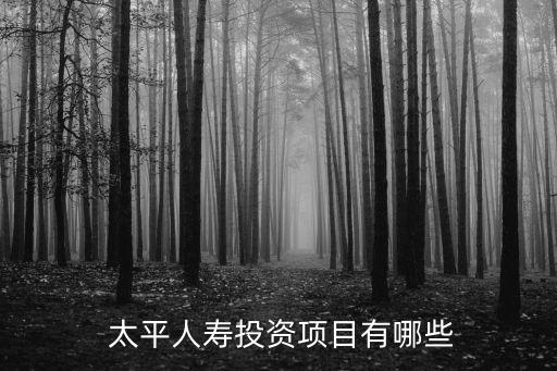 中國(guó)太平再造,三年再造一個(gè)新太平