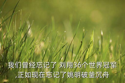 ?？导瘓F(tuán)劉翔,中國(guó)交通集團(tuán) 劉翔