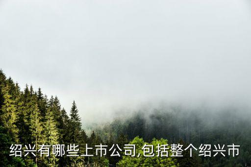菲達環(huán)?？萍脊煞萦邢薰菊衅?浙江菲達環(huán)保科技股份有限公司最新消息