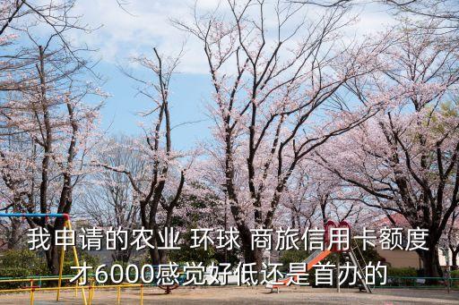 我申請(qǐng)的農(nóng)業(yè) 環(huán)球 商旅信用卡額度才6000感覺好低還是首辦的