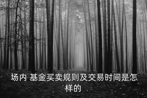 場內貨幣基金賣不出,當天計息的場內貨幣基金