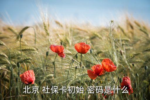  北京 社?？ǔ跏?密碼是什么