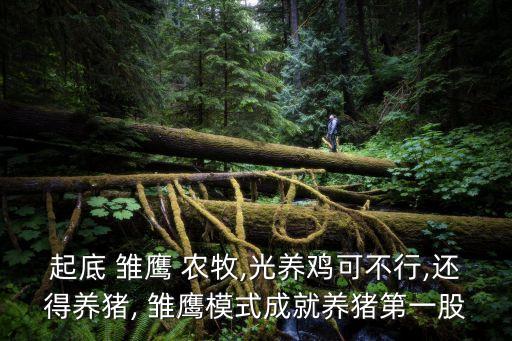 雛鷹農(nóng)牧集團招商部,吉林雛鷹農(nóng)牧集團最新消息