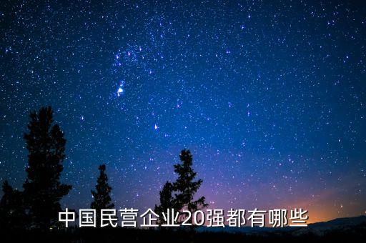 中國民營企業(yè)20強都有哪些