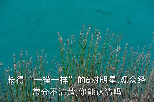 長得“一模一樣”的6對明星,觀眾經常分不清楚,你能認清嗎
