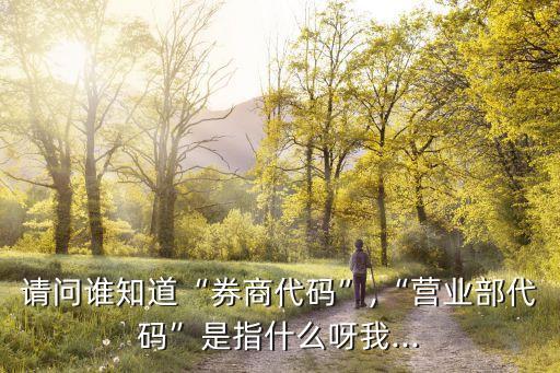 請(qǐng)問(wèn)誰(shuí)知道“券商代碼”,“營(yíng)業(yè)部代碼”是指什么呀我...