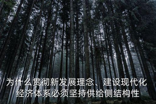 為什么貫徹新發(fā)展理念、建設(shè)現(xiàn)代化 經(jīng)濟(jì)體系必須堅(jiān)持供給側(cè)結(jié)構(gòu)性