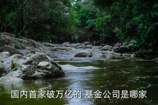 國(guó)內(nèi)首家破萬億的 基金公司是哪家