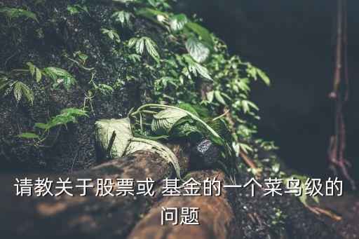 請教關于股票或 基金的一個菜鳥級的問題